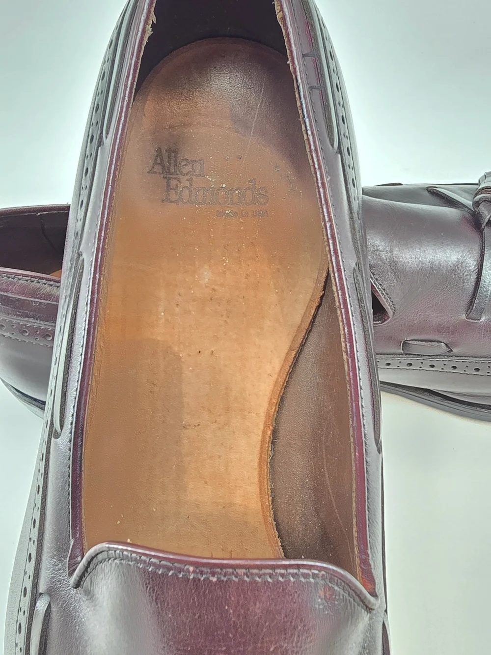 Allen Edmonds Men's Tassel Loafers in Burgundy Leather
